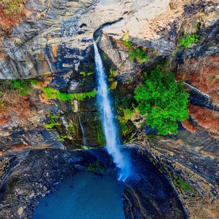 Fearlessness of Nature