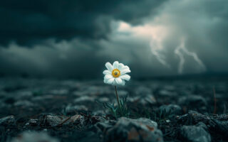 Art of being comfortable in discomfort