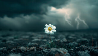 Art of being comfortable in discomfort