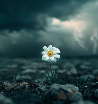 Art of being comfortable in discomfort