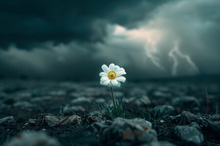 Art of being comfortable in discomfort