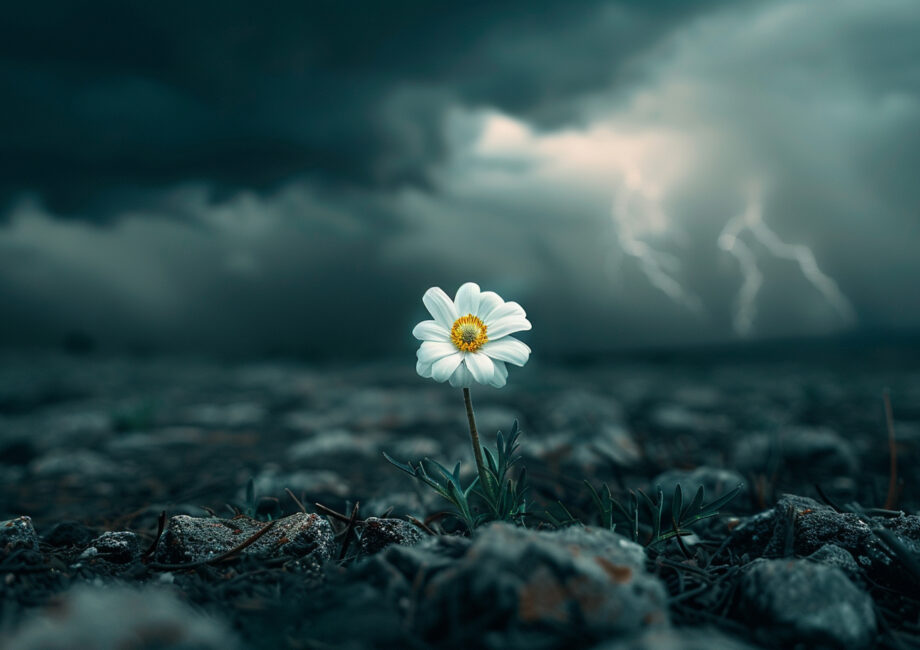 Art of being comfortable in discomfort